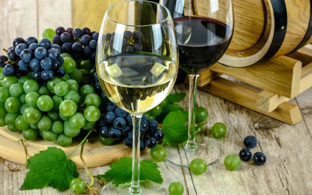 Eget facilisis sed ante lorem ipsum