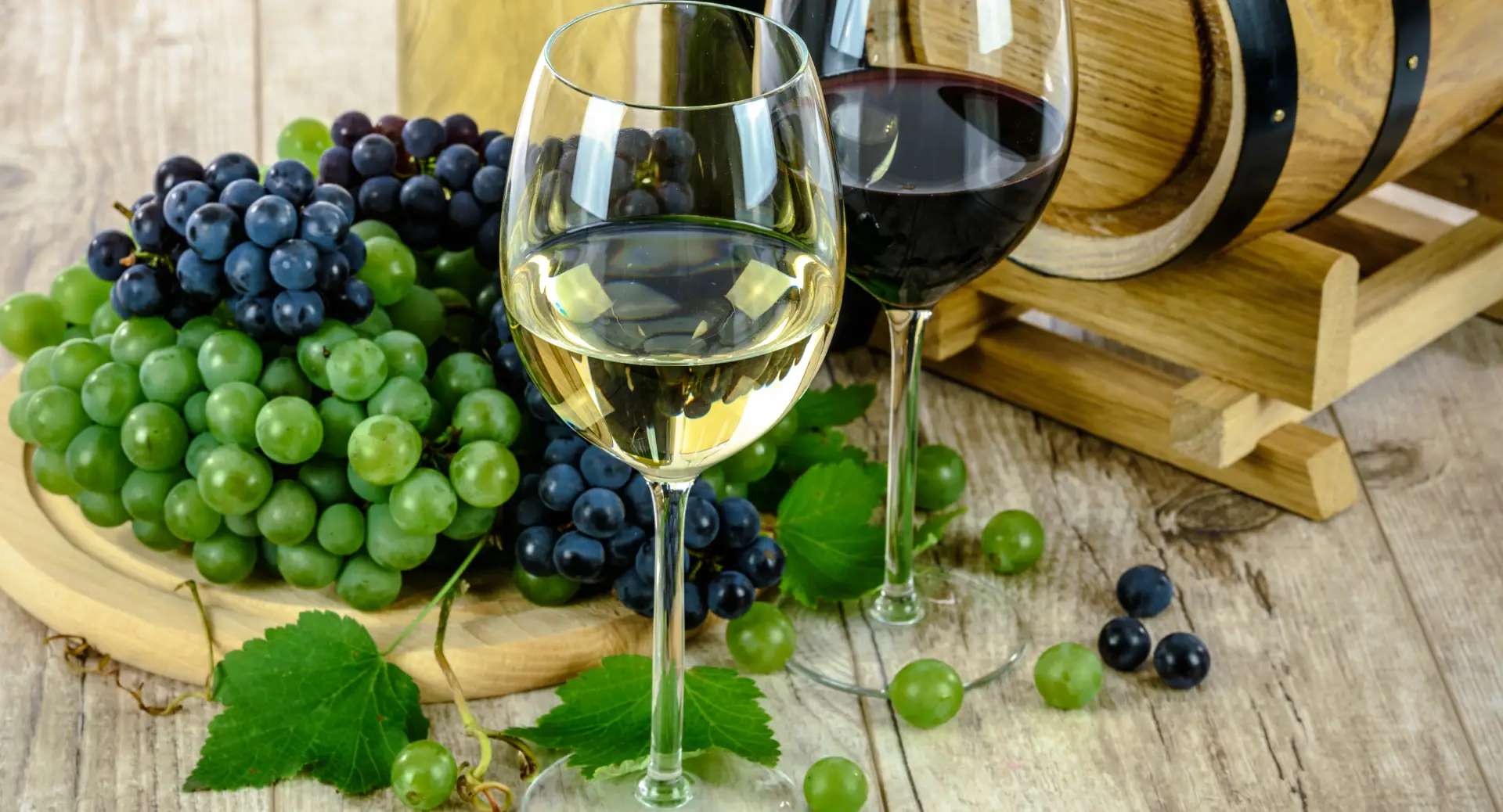 Eget facilisis sed ante lorem ipsum