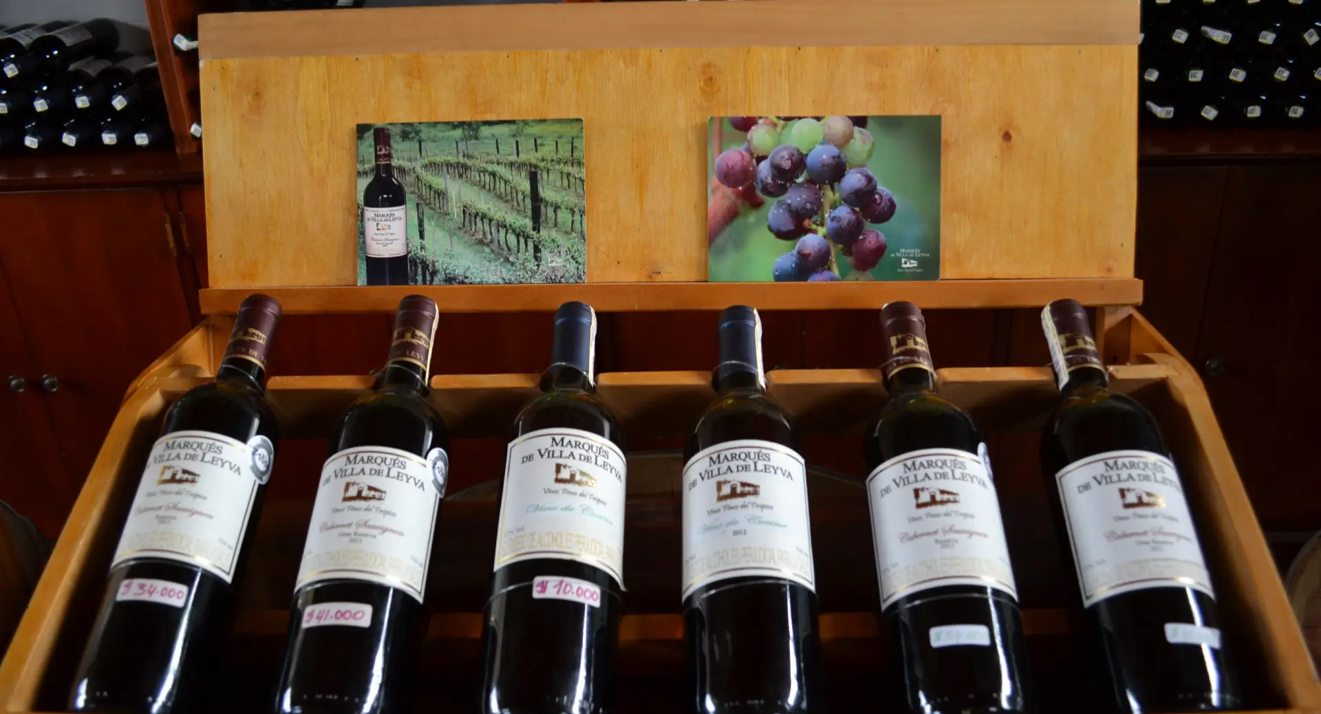 Lorem a tellus pellentesque tristique